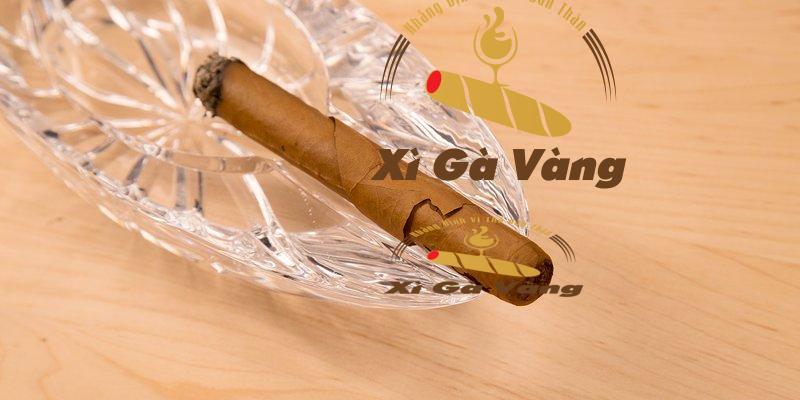 Nên chuyển xì gà bị nứt vào môi trường có độ ẩm tiêu chuẩn